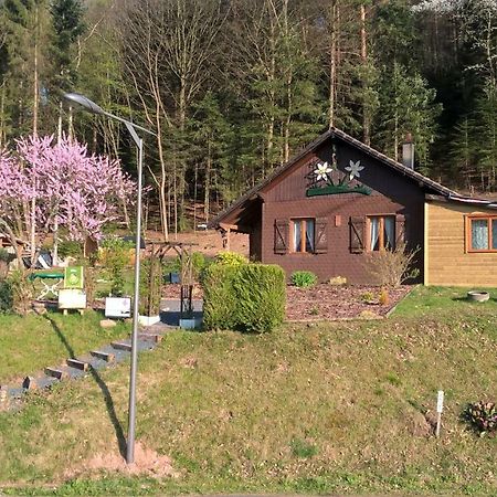 Gîte Bien-Etre Walscheid Exterior foto