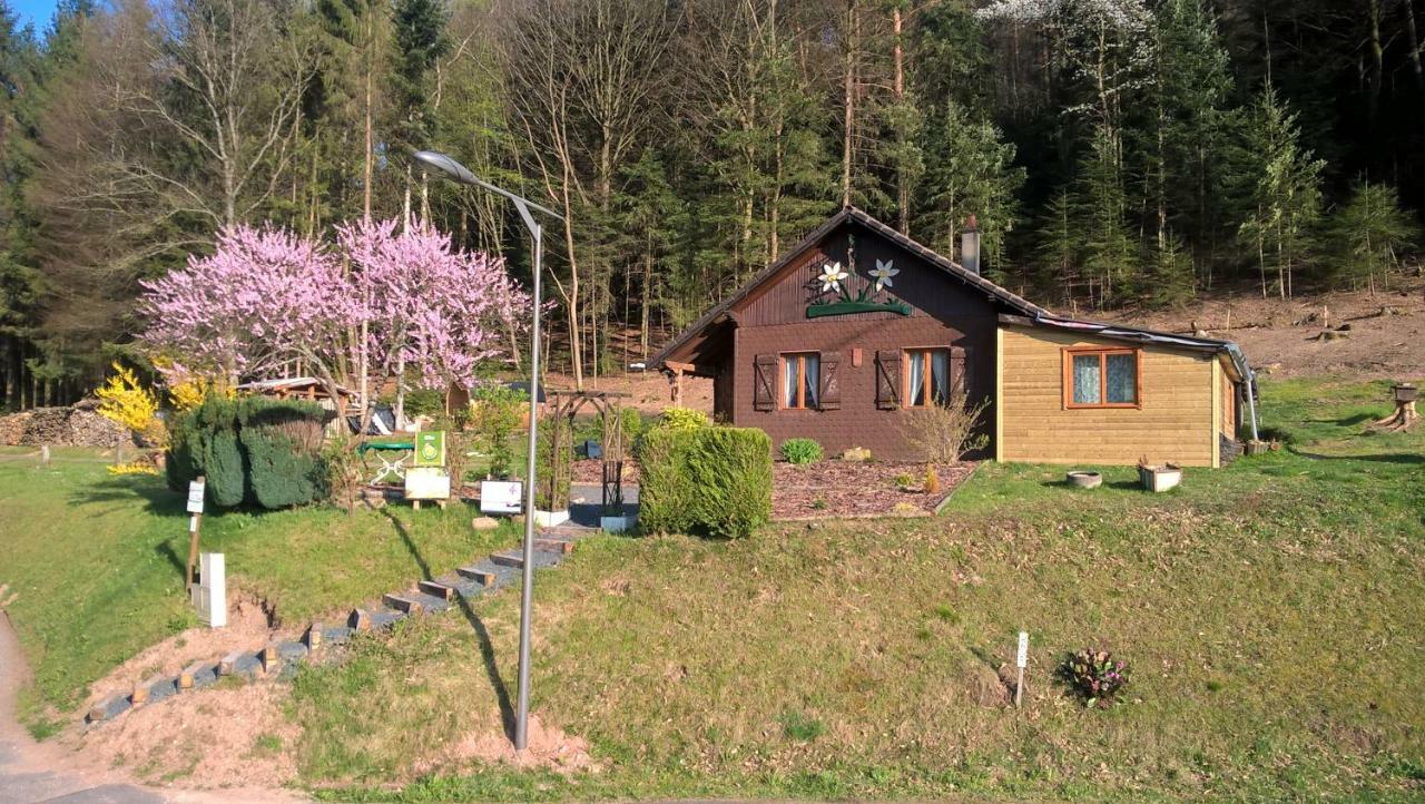Gîte Bien-Etre Walscheid Exterior foto